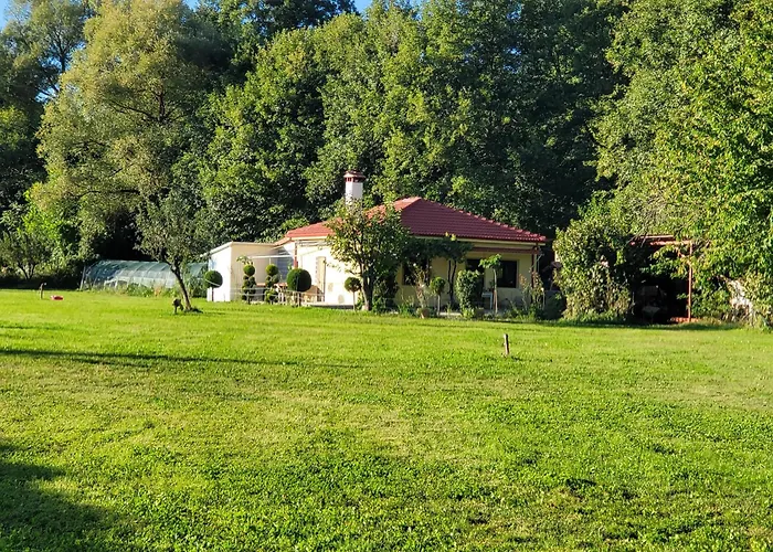 Vilă River Side House *